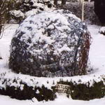 Saturnkristall 2005